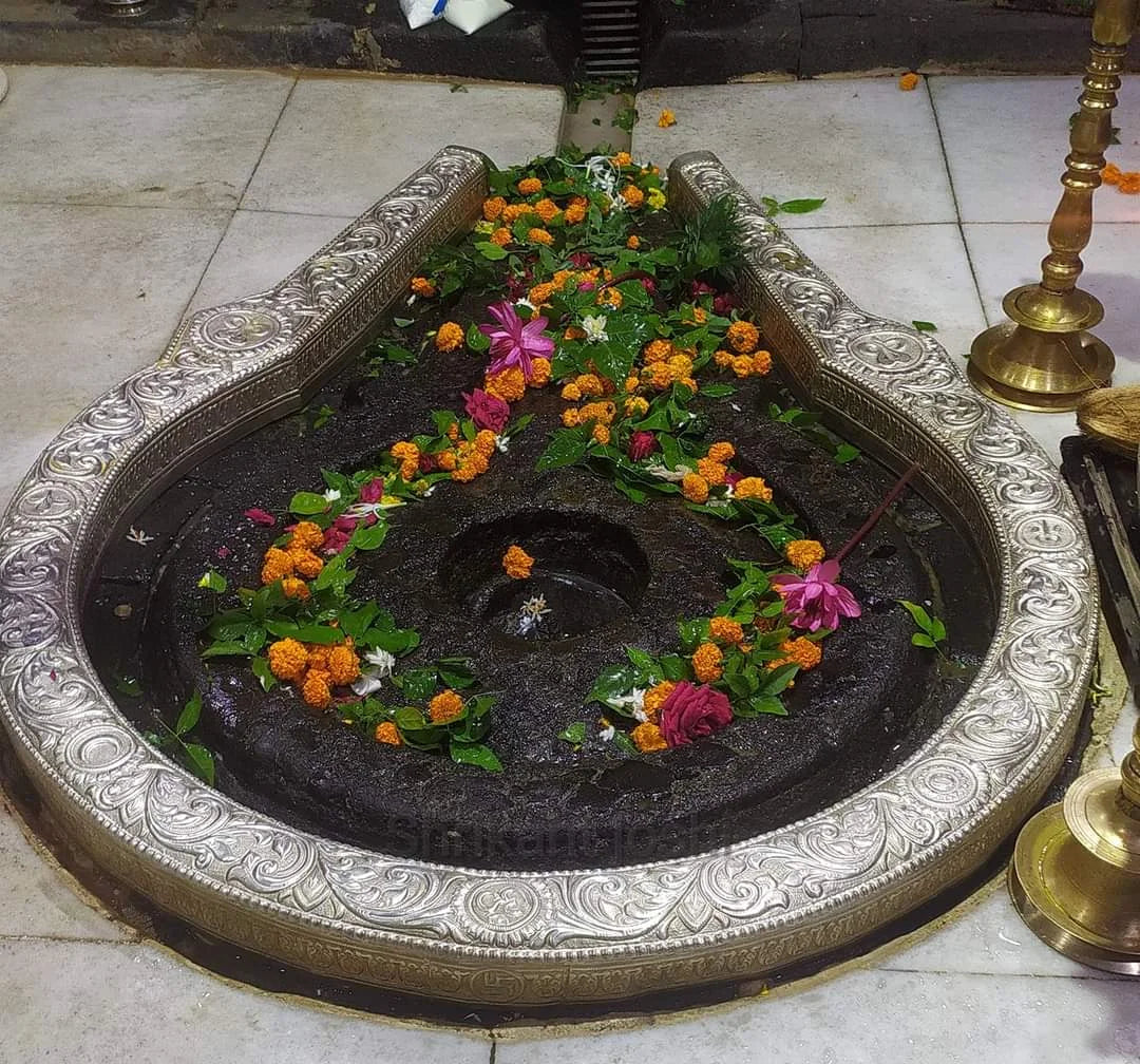 VIP Puja: Rudra Abhishek at Trimbakeshwar Jyortirlinga