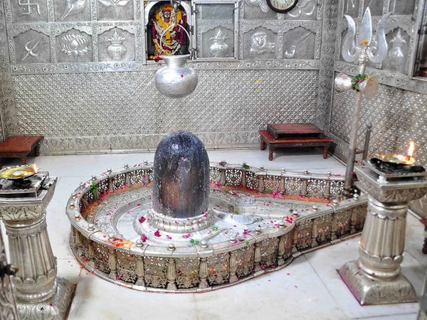 VIP Puja: Rudra Abhishek at Mahakaleshwar Jyortirlinga